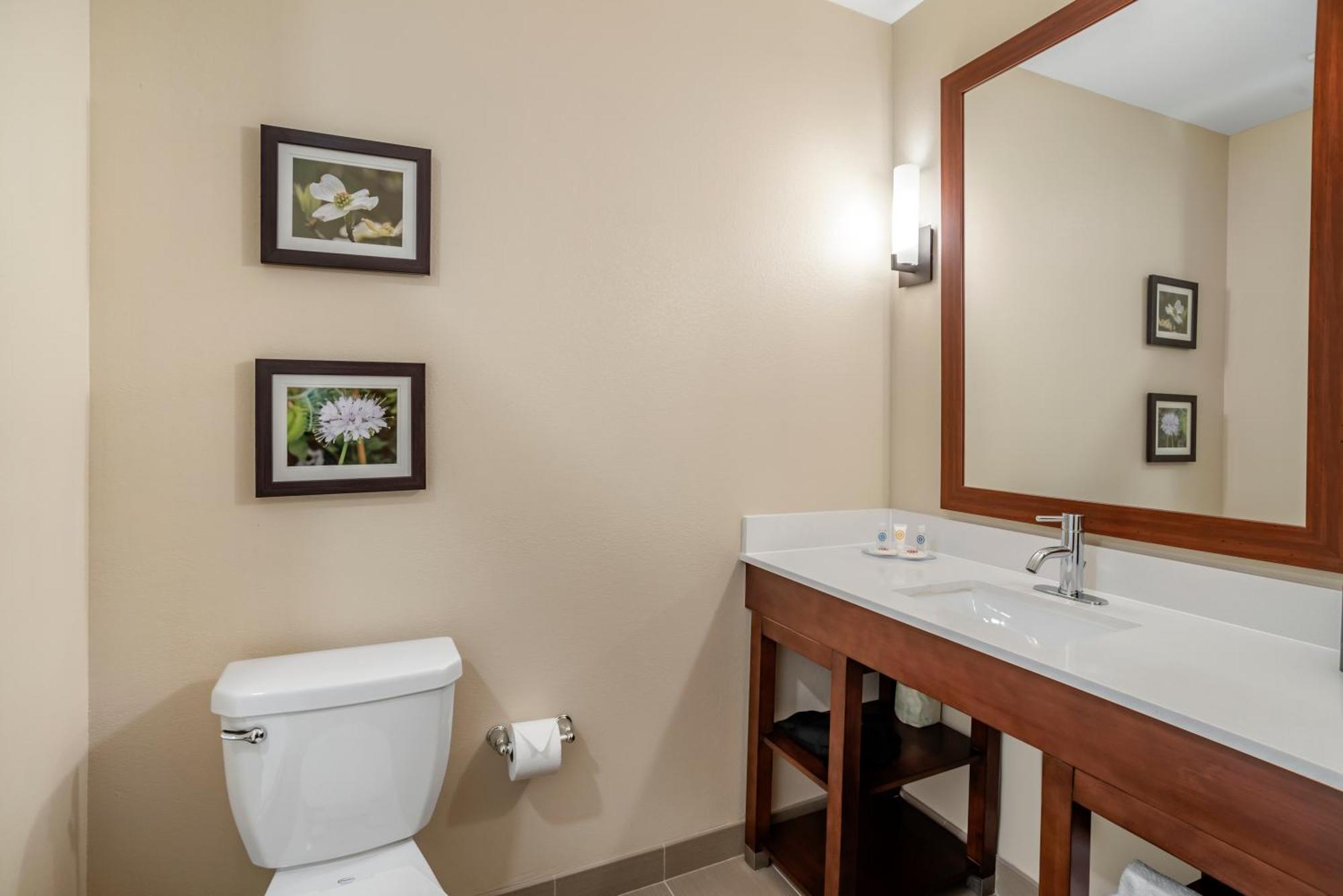 Comfort Inn & Suites Winchester Pokój zdjęcie