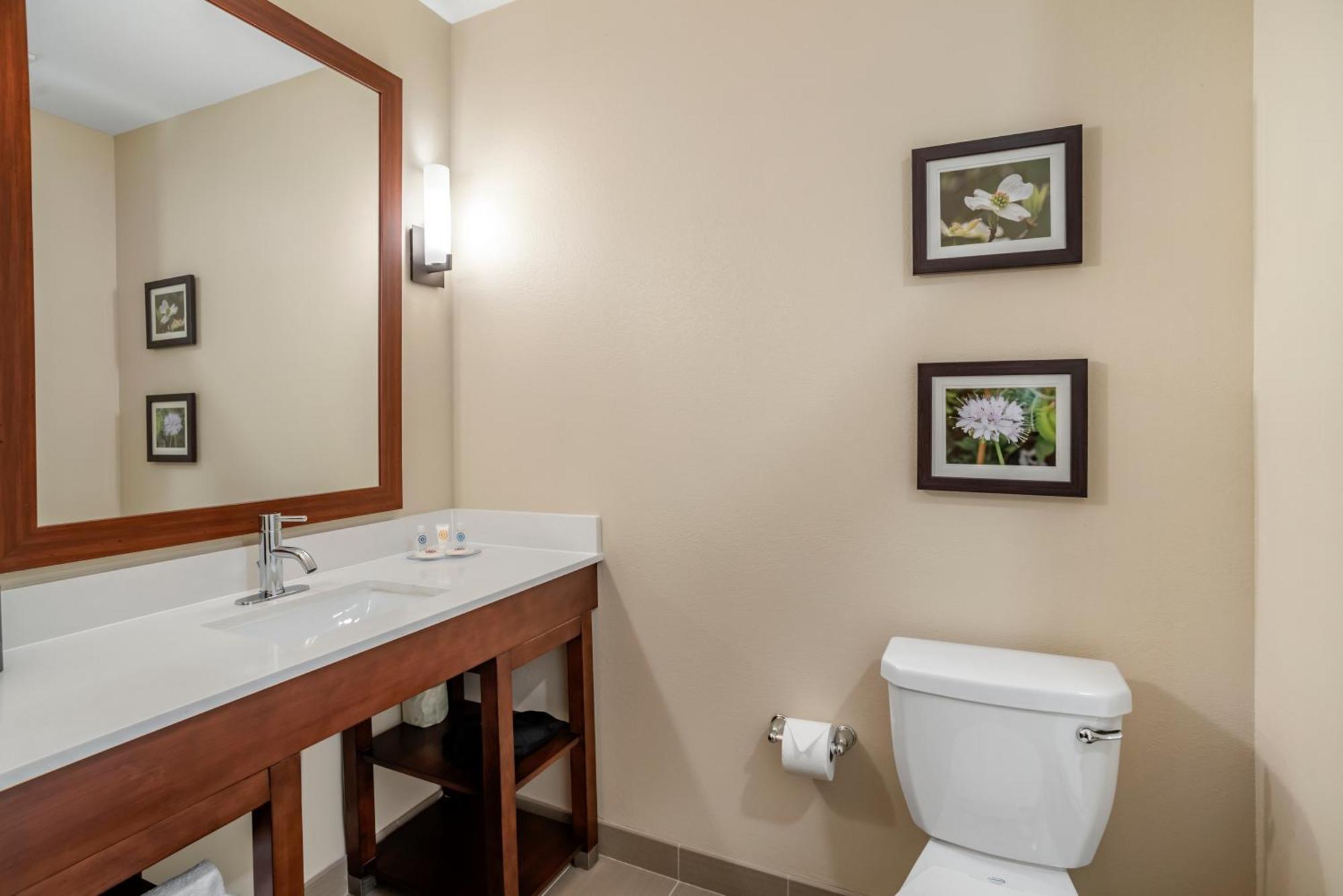 Comfort Inn & Suites Winchester Pokój zdjęcie